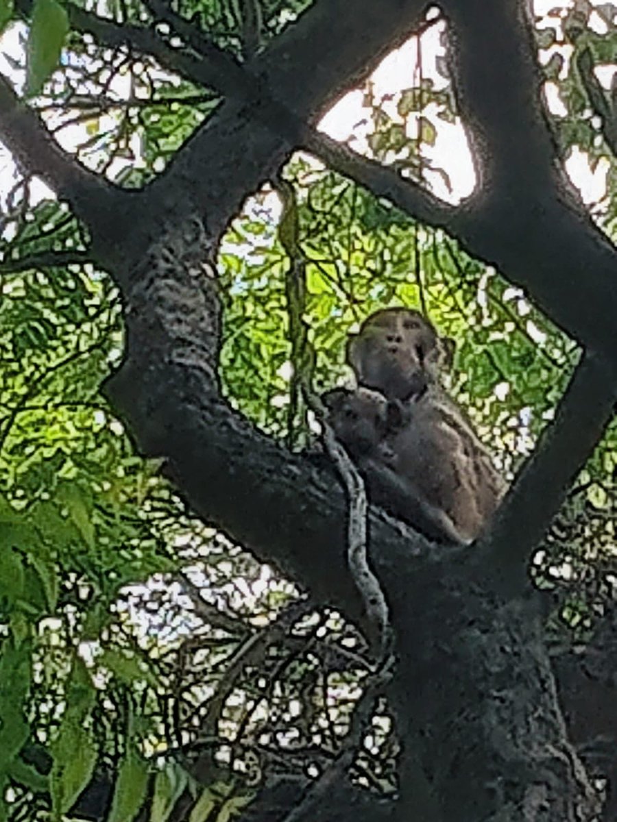 Pradeep Diwan tweet media