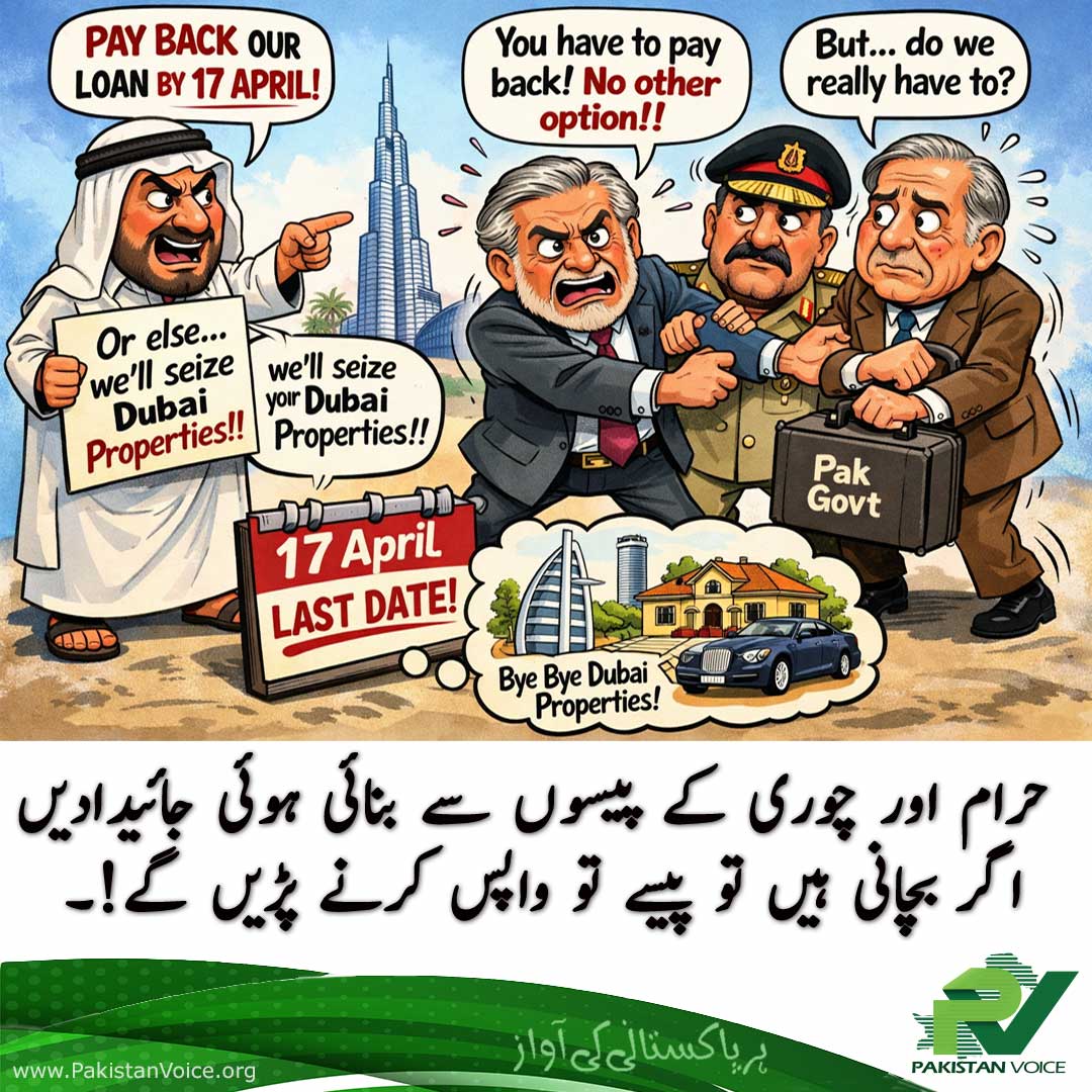 Pakistan Voice 🇵🇰 tweet media