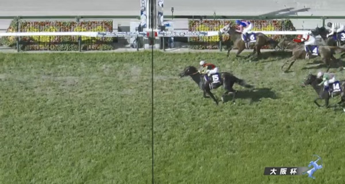 穴馬狙いのサシ姐 tweet media