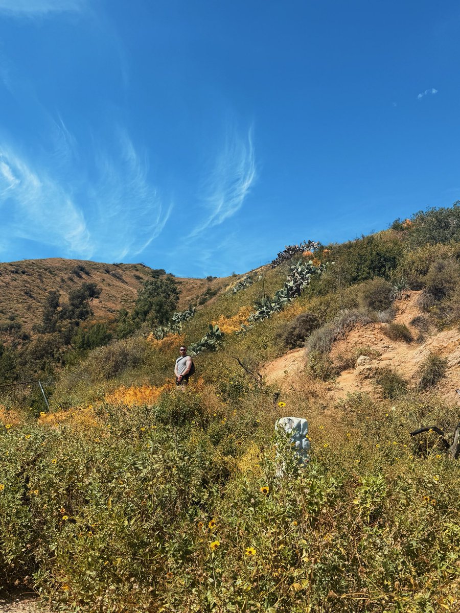 James Fulton tweet media