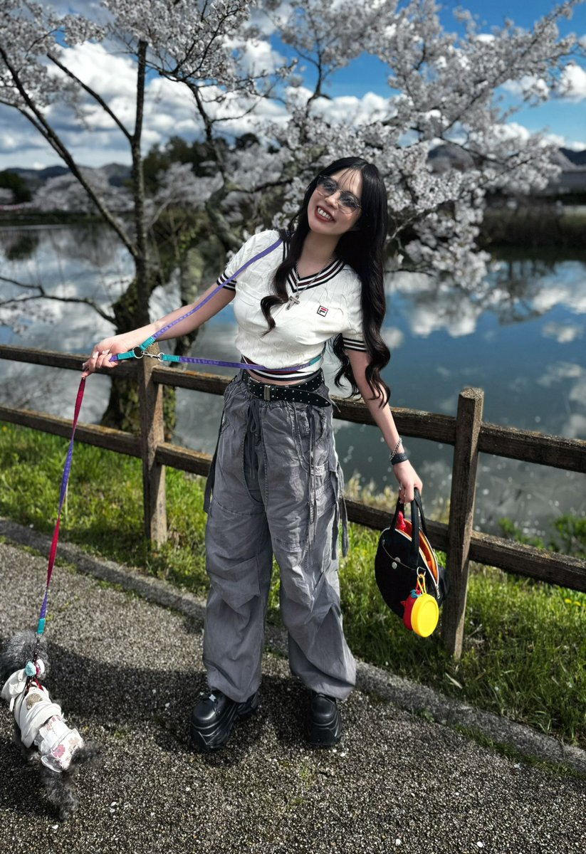 お嬢。 tweet media