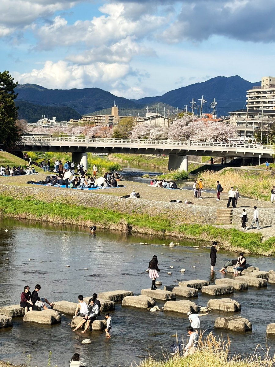 まゆみん𓂃𓂂ꕤ*.ﾟ tweet media