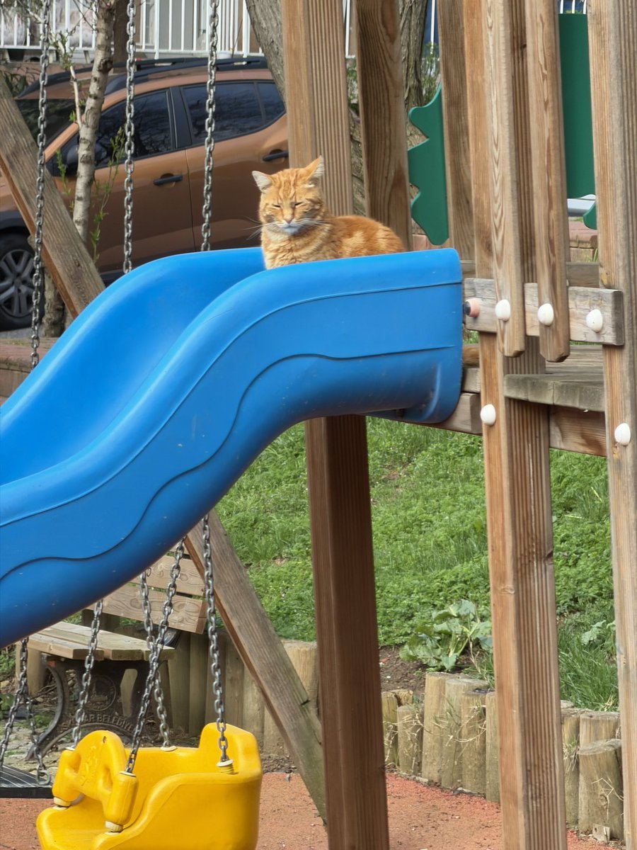 muhteşembirhayatınkeyifliufakdetayları tweet media