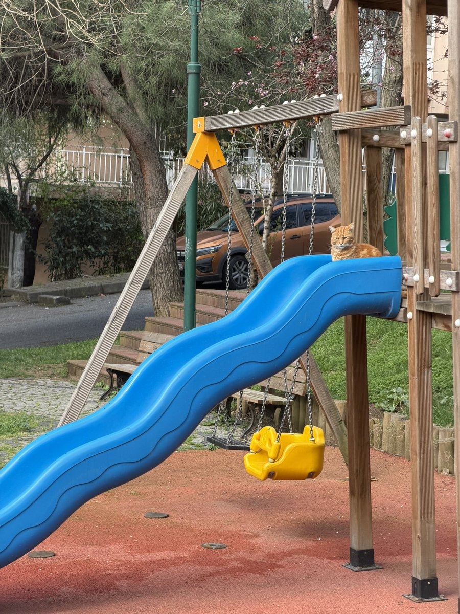 muhteşembirhayatınkeyifliufakdetayları tweet media