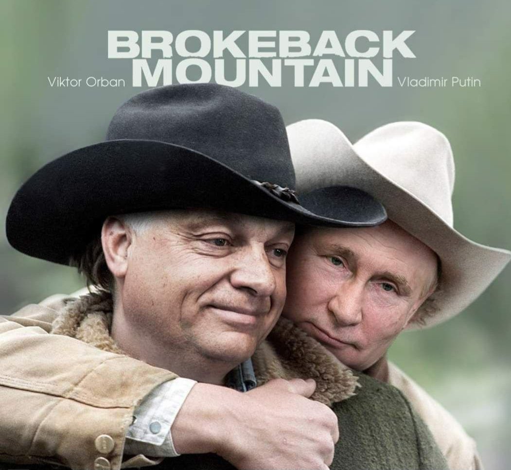 Brahccoli tweet media