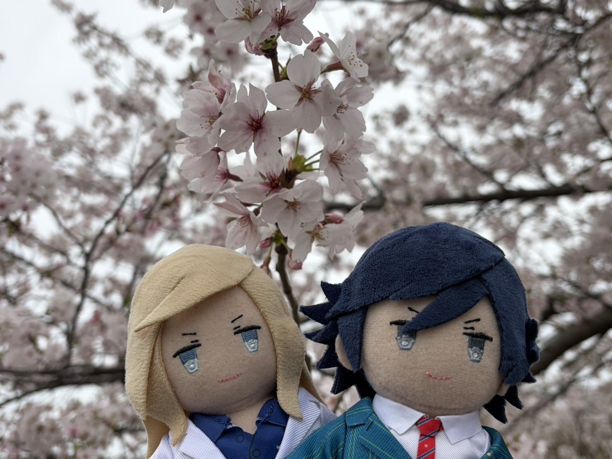 球体モニター❄️🔰 tweet media