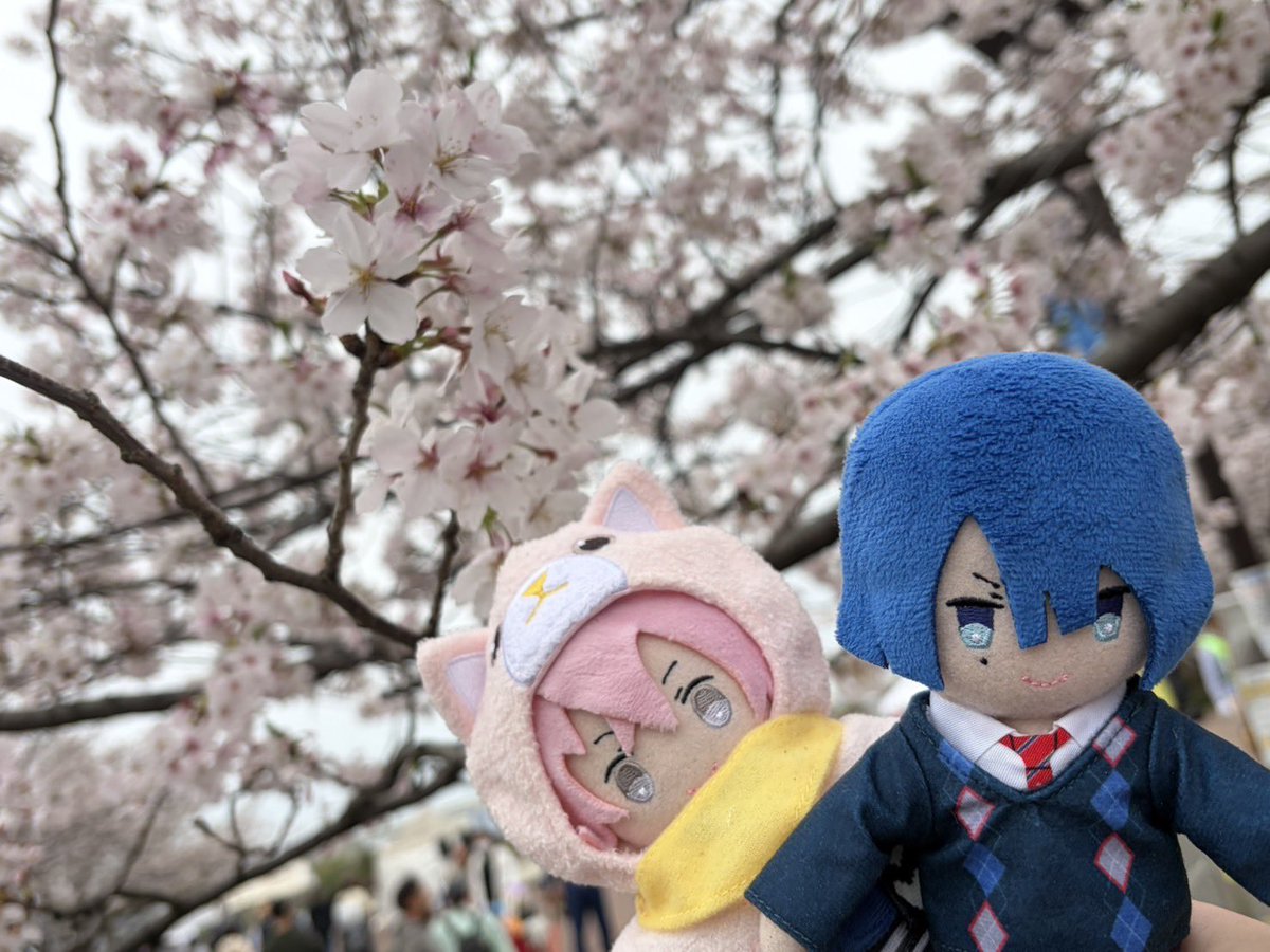 球体モニター❄️🔰 tweet media