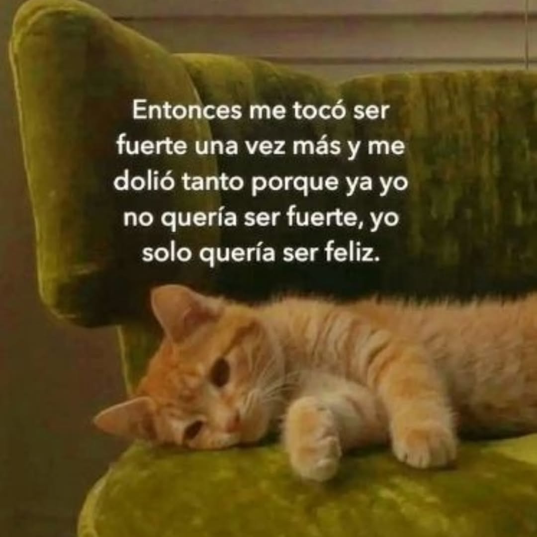 Ojos color sol tweet media