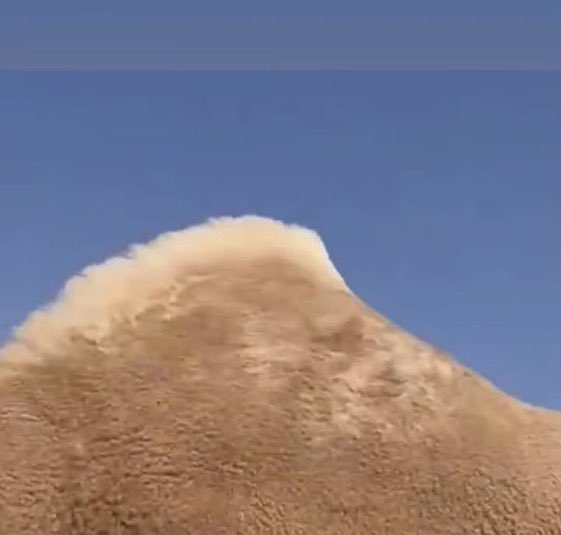 الــوريـد tweet media