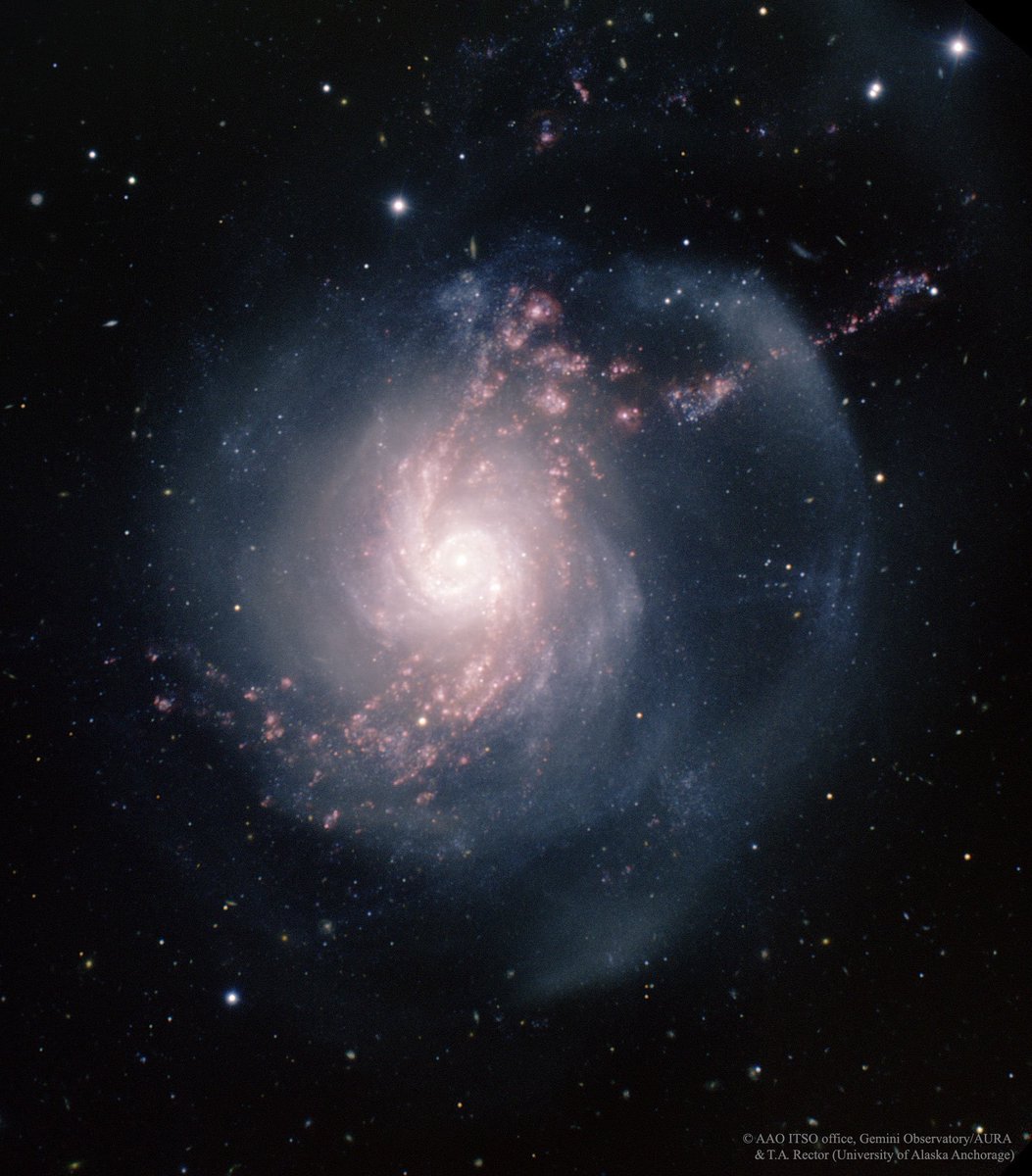 Swetilein1's tweet image. 'NGC 3310: A Starburst Spiral Galaxy'
Image Credit &amp;amp; Copyright: AAO ITSO Office, Gemini Obs./AURA &amp;amp; T. A. Rector (U. Alaska Anchorage)
apod.nasa.gov/apod/ap260405.…
#astronomy #space