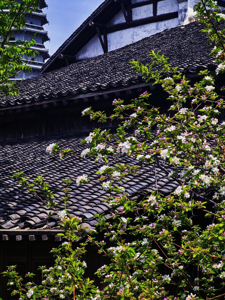 蒸桑拿的Gio tweet media