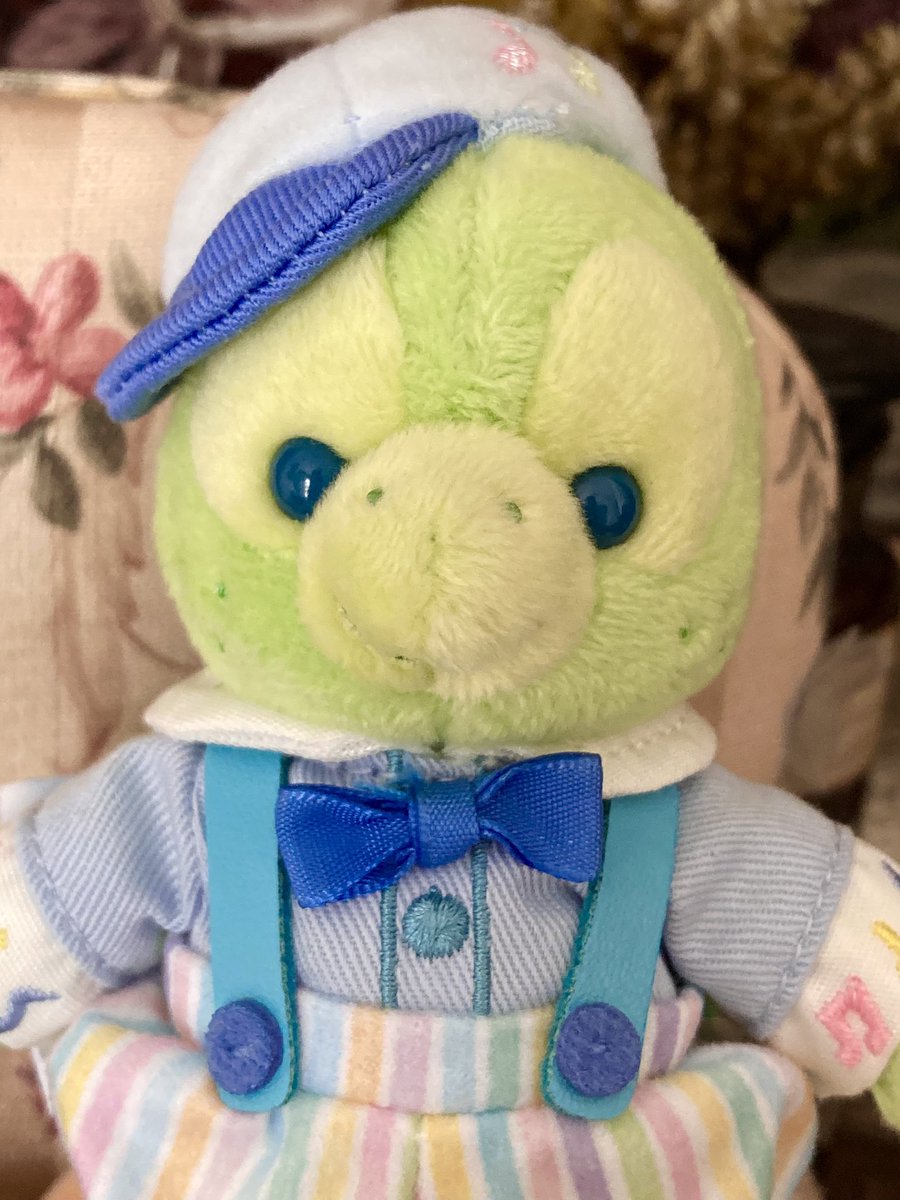 ぬい顔選びの天才がプレゼントしてくれた推しのお顔があまりにも可愛すぎる🐢💕
