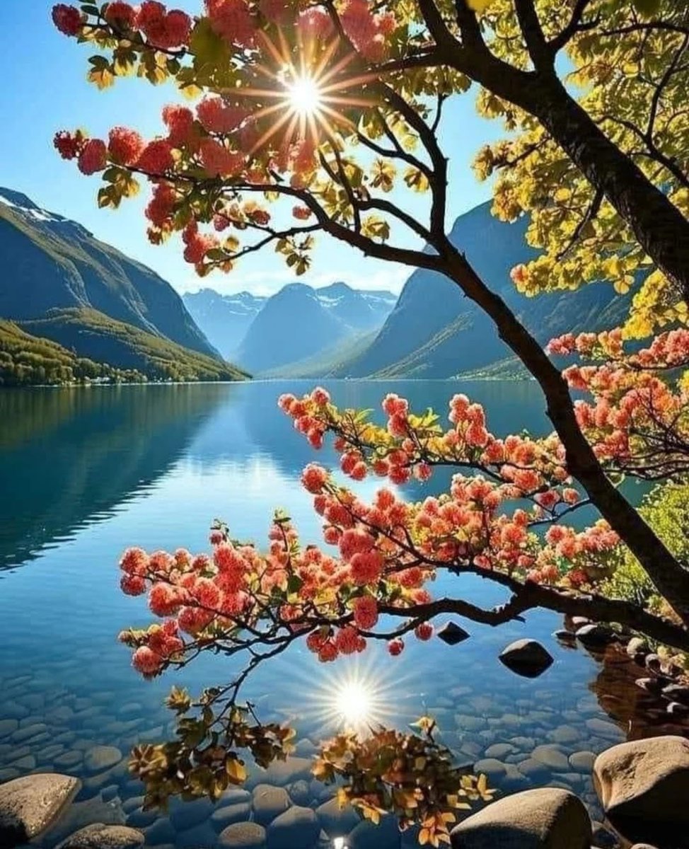 Ⓜ️ⒶⓇⒸ tweet media