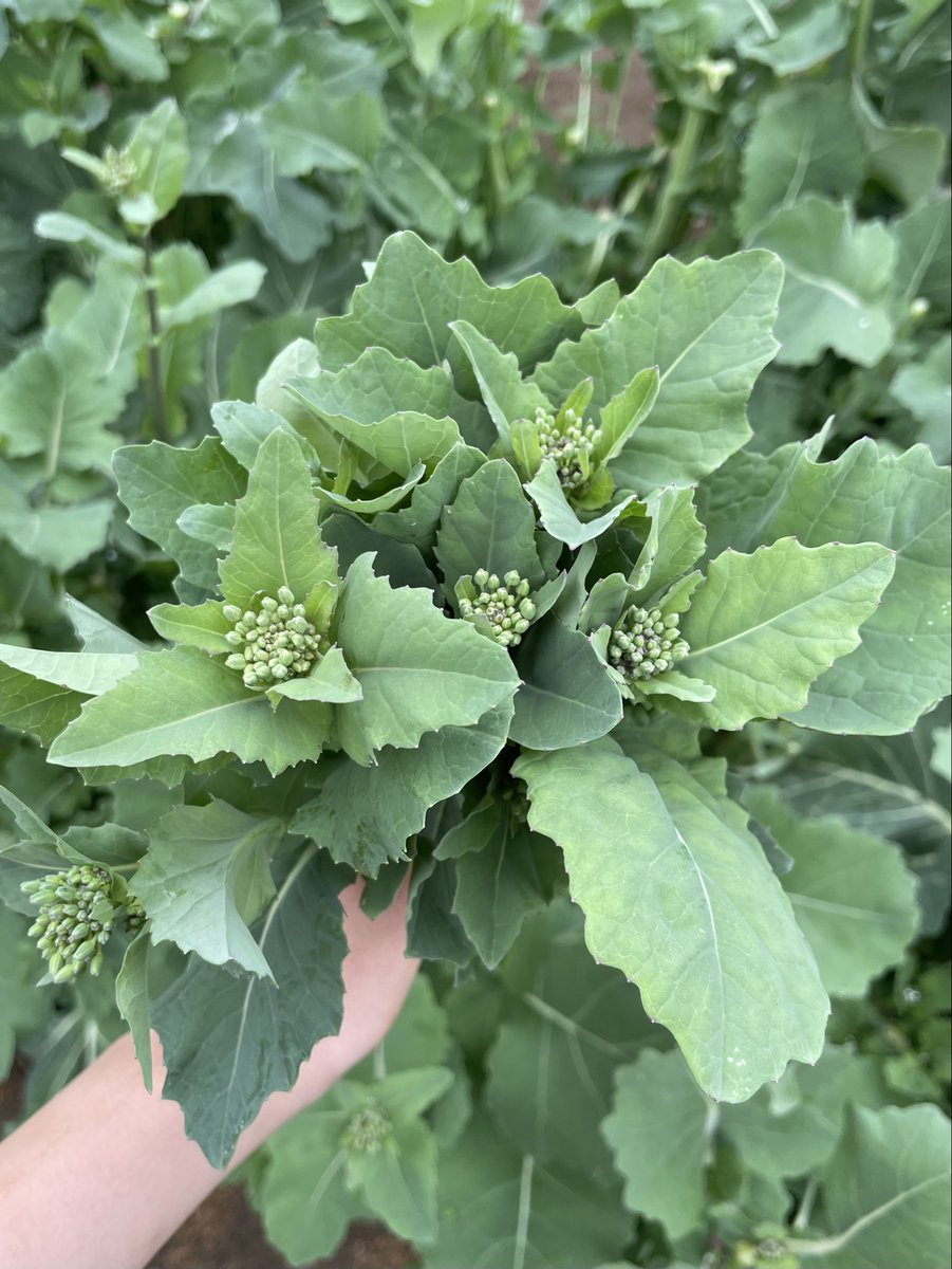 BAR人民の敵 PUBLIC ENEMY tweet media