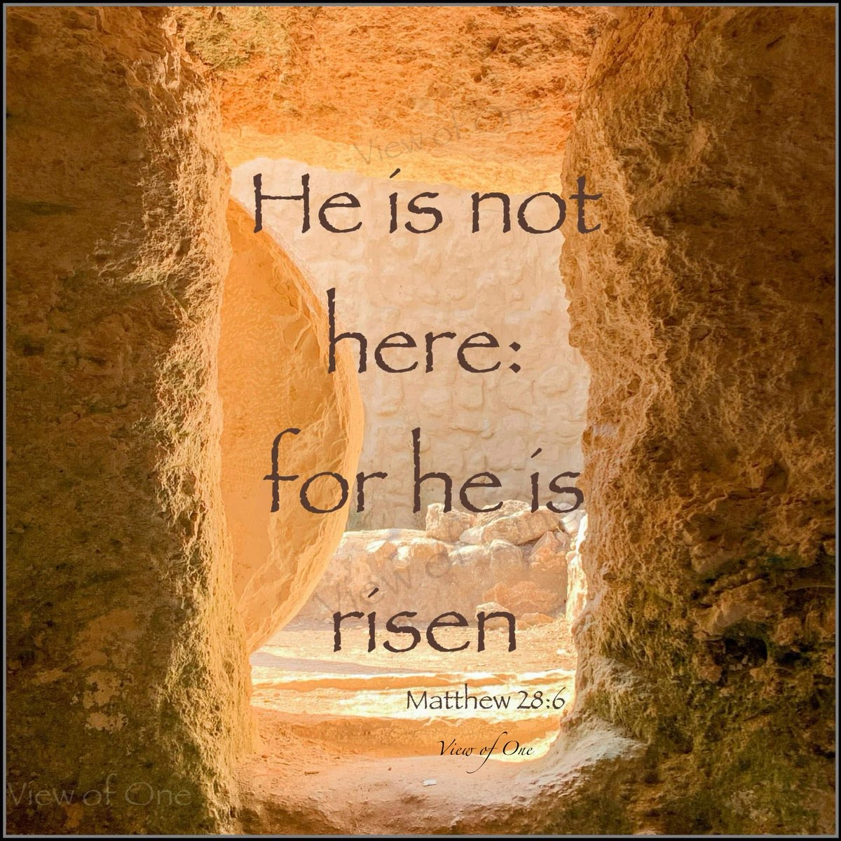 𝓝𝓲𝓴𝓴𝓲 tweet media