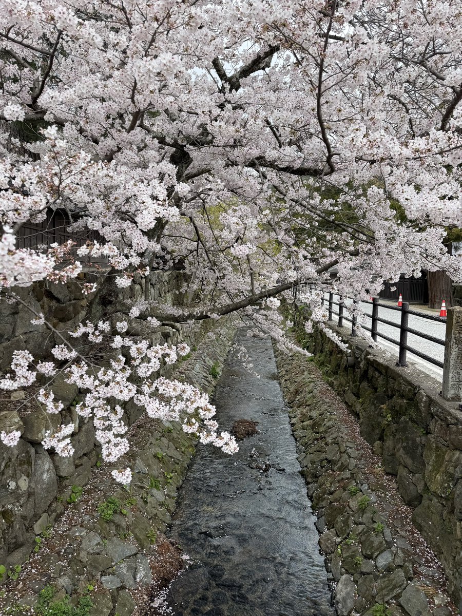 Honah-Lee tweet media