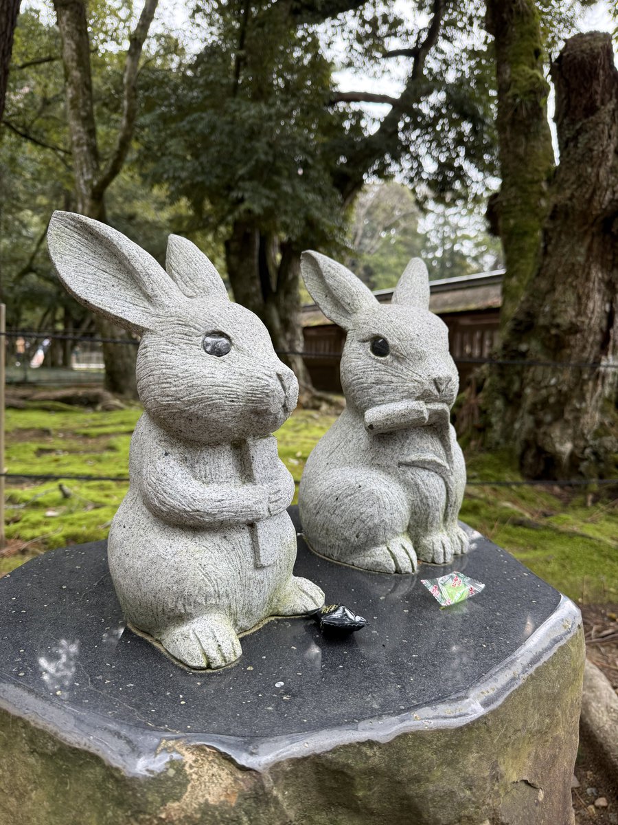 Honah-Lee tweet media