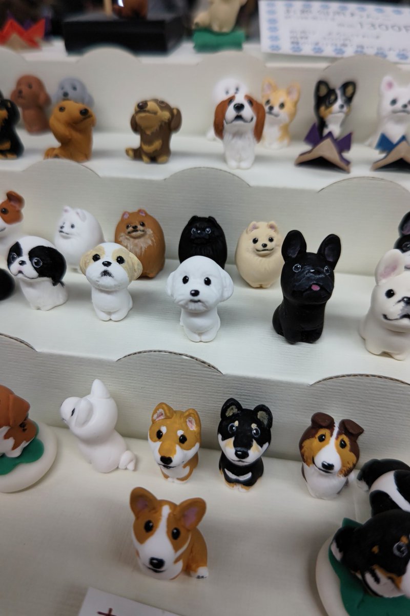 ABCDOGS_tensh's tweet image. 終了しました～あっという間でした
難波御堂筋ホール
#GWC  オリオン16

お迎えいただいた皆様有難うございます
リピーター様もいらして嬉しかったです
良いことが訪れますように

主催様、近隣のディーラー様方にはお世話になり有難うございました
告知拡散下さった皆様にも感謝致します