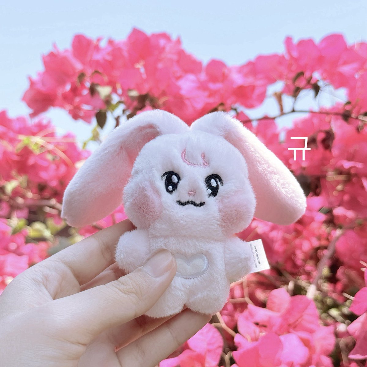 captainm tweet media