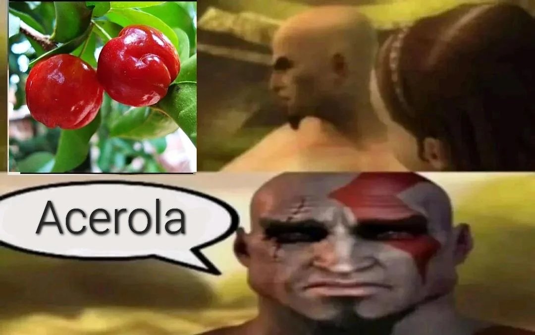 Página Séria. tweet media