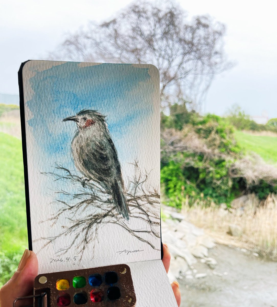 あゆみ tweet media