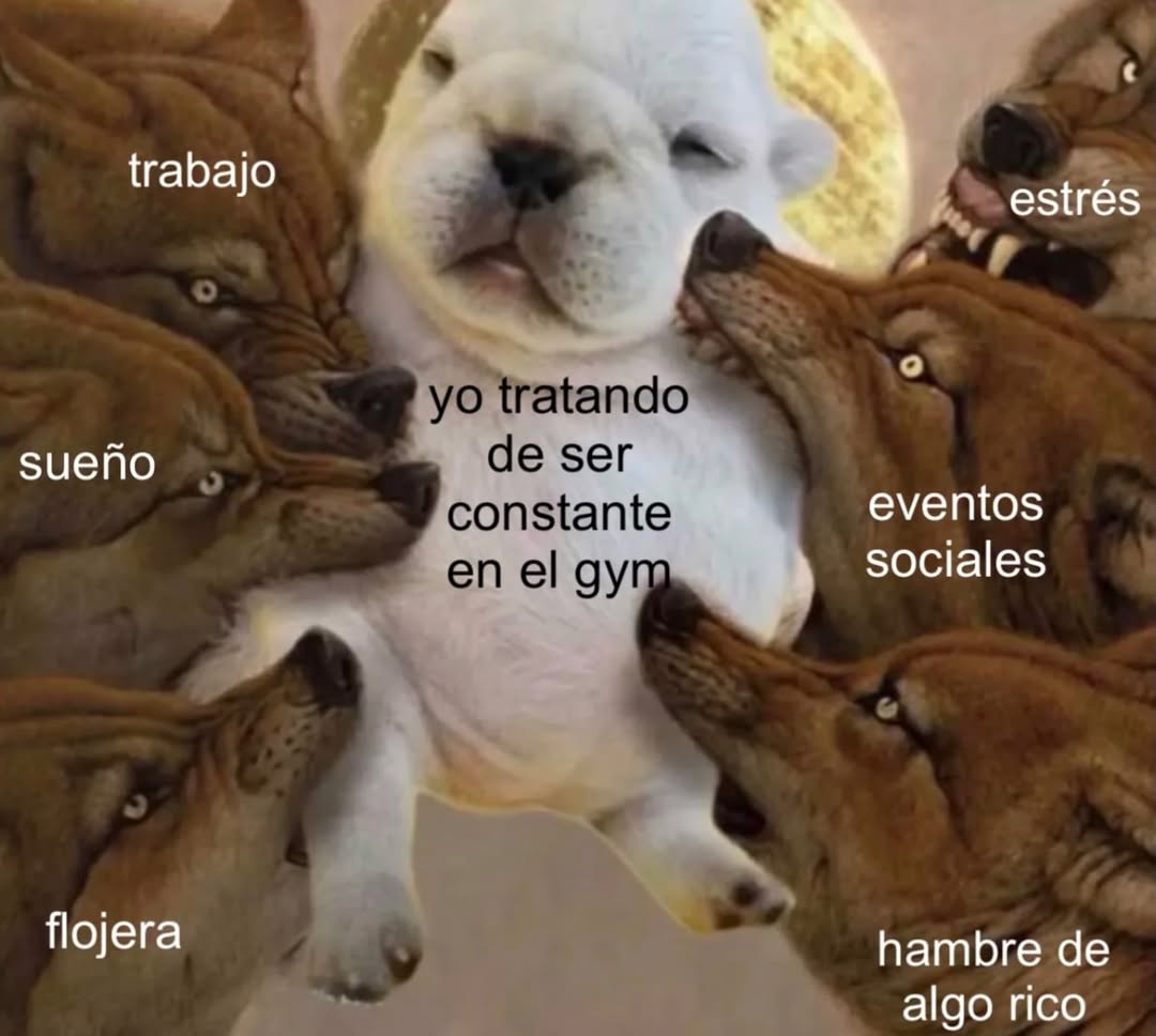 Ojos color sol (@ojoscol0rsol) on Twitter photo 