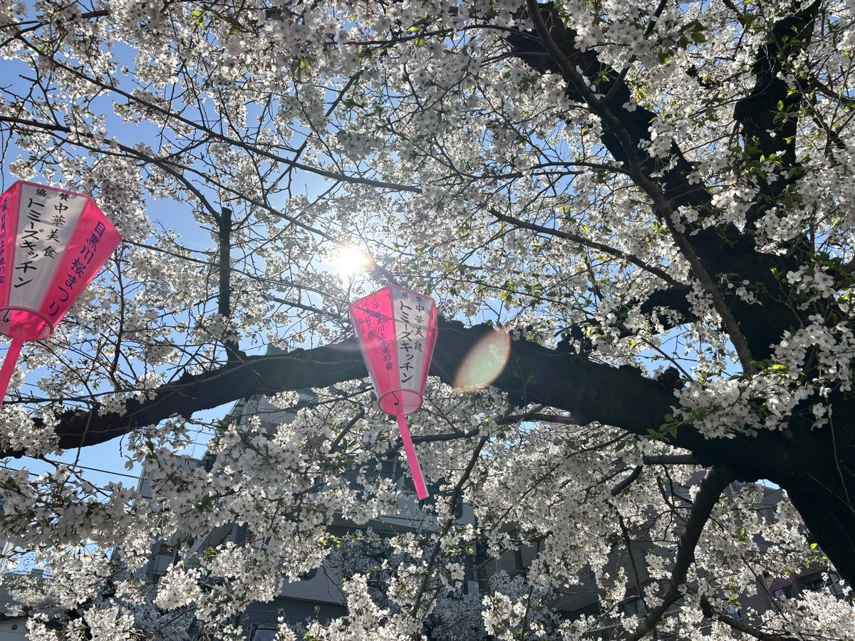 みくに@次5月 tweet media