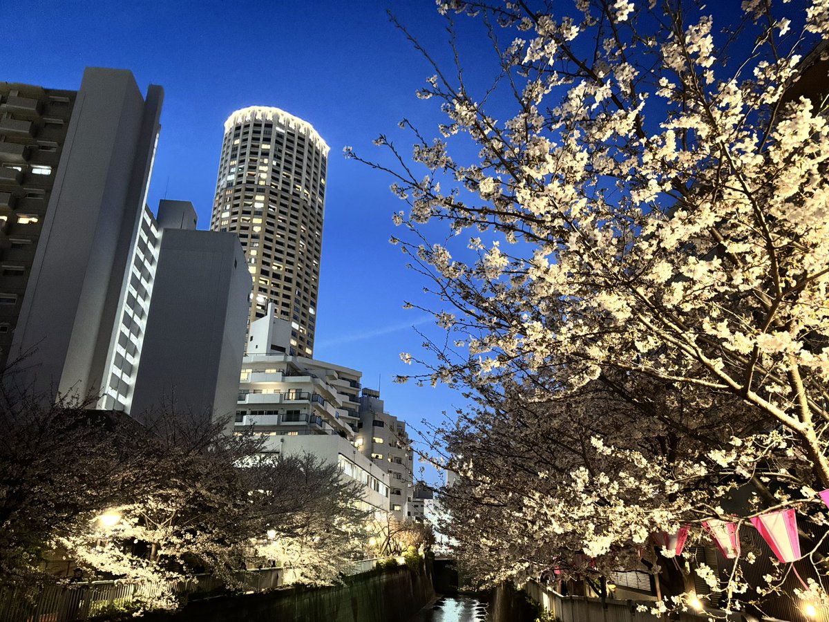 みくに@次5月 tweet media