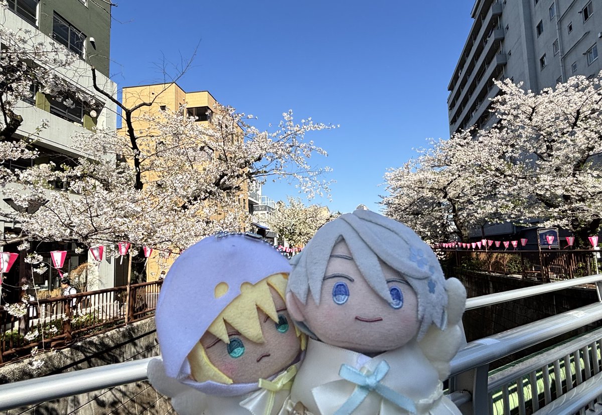 みくに@次5月 tweet media