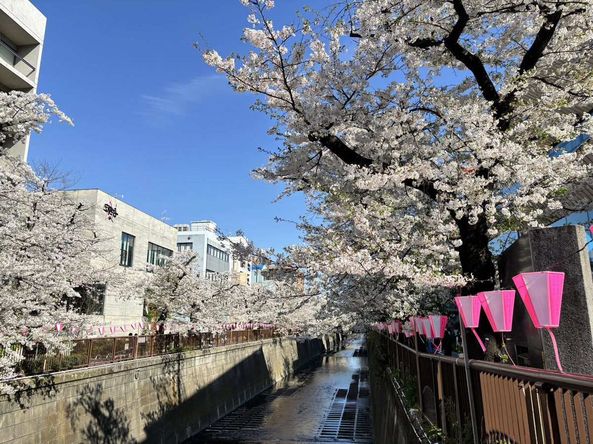 みくに@次5月 tweet media