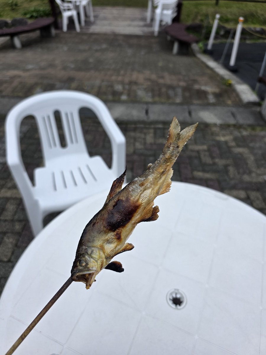 しさくさん X tweet media