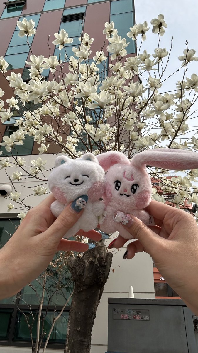 nat ✩‧₊˚ tweet media