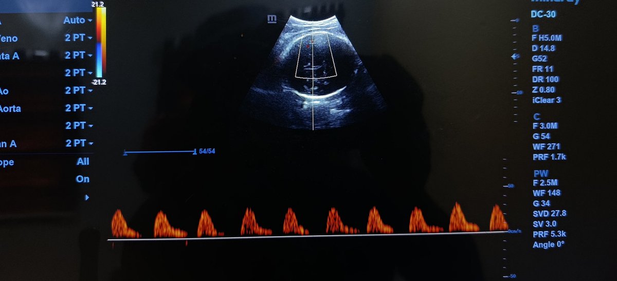 Dr POPOOLA 🌐⚕️ tweet media