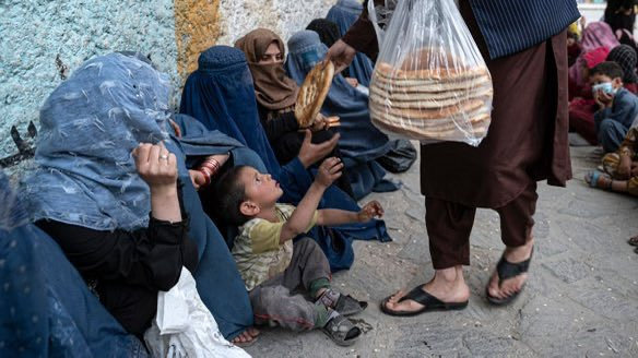 Colonel 007 tweet media