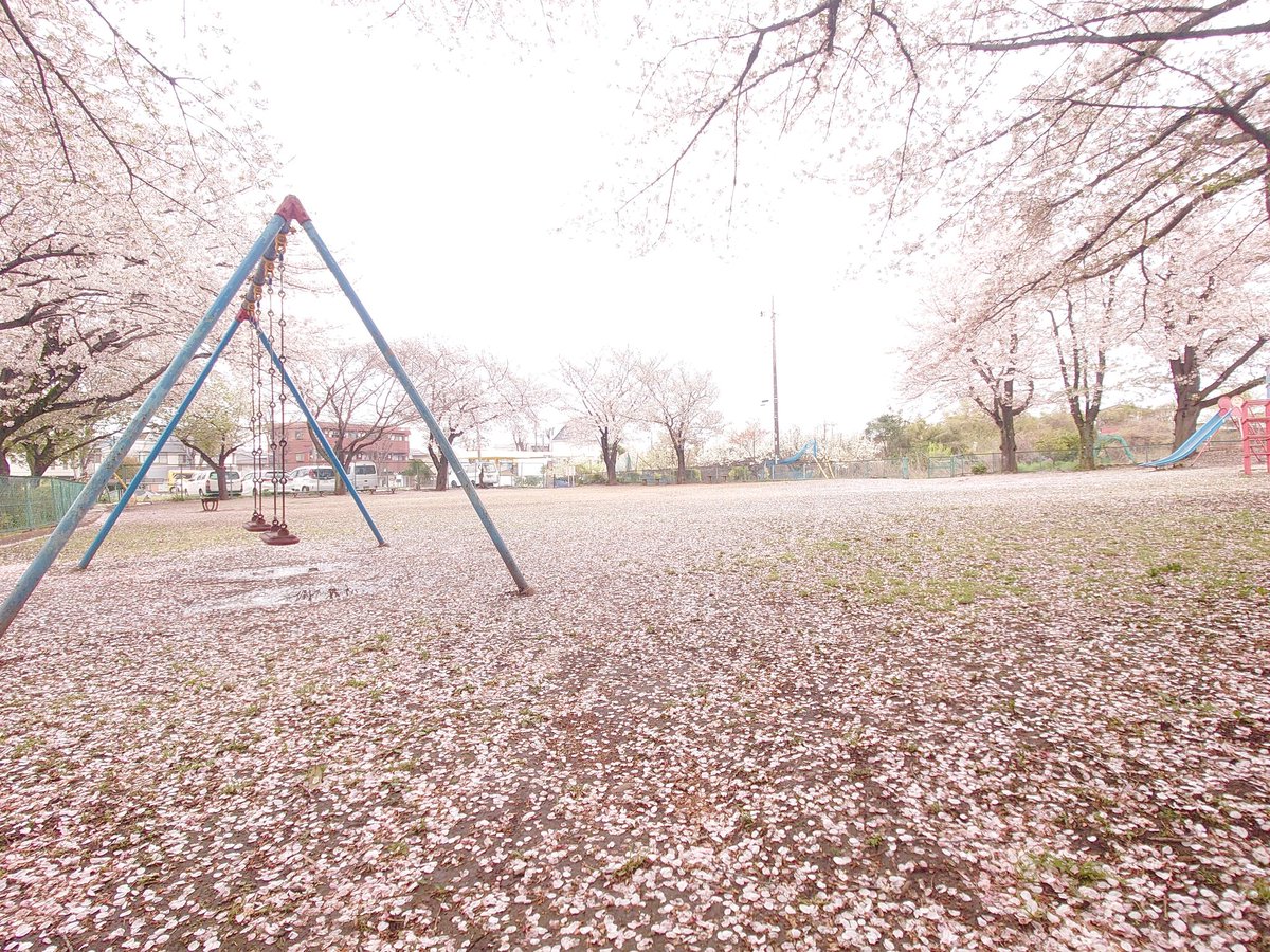 ちさと(快便ちゃん) tweet media