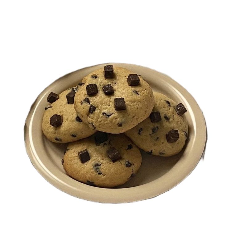 raghdaꫂ᭪݁ tweet media