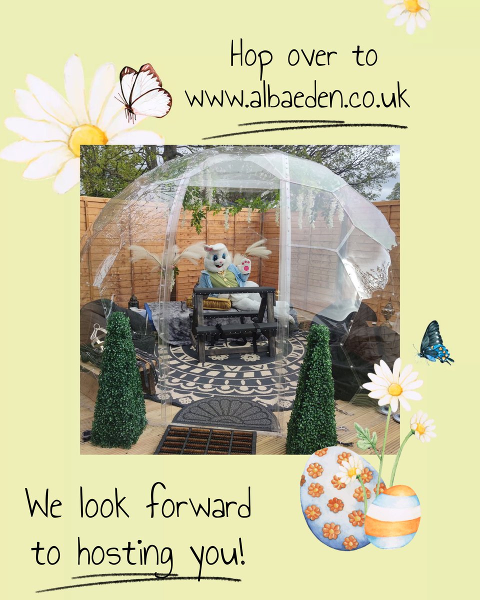 🏴󠁧󠁢󠁳󠁣󠁴󠁿 Alba Eden Studio 🏴󠁧󠁢󠁳󠁣󠁴󠁿 tweet media