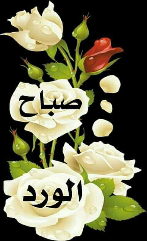 عادل غزاوي tweet media