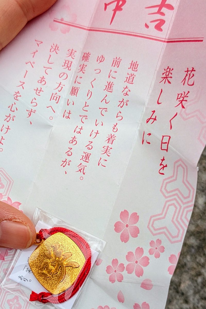 那智黒猫 tweet media