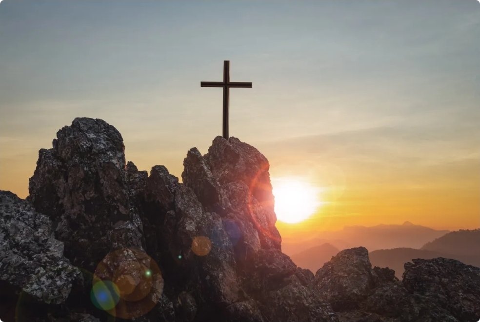 Marie-Hélène MATTEI tweet media