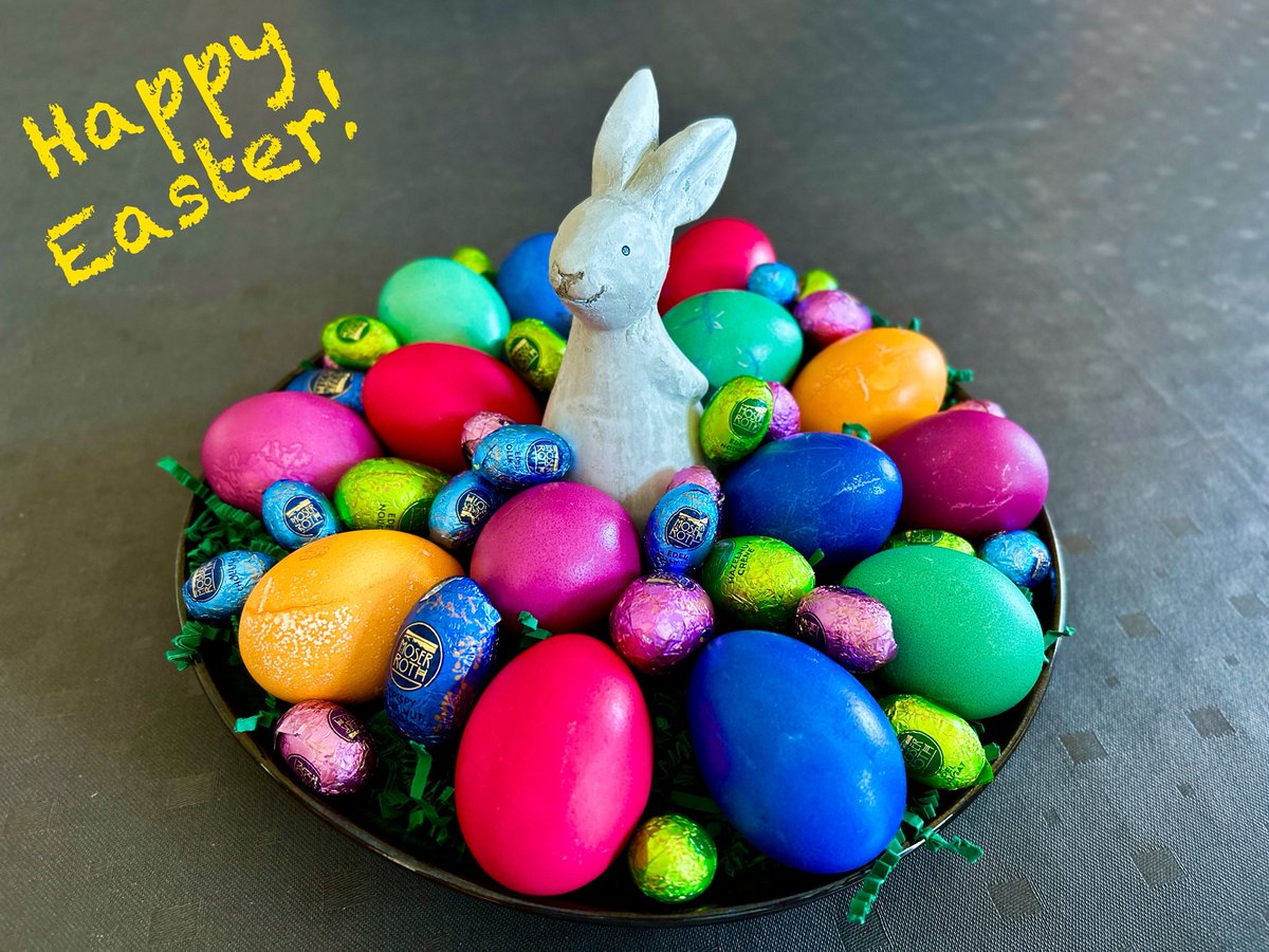 Tikvah14 🦉 tweet media