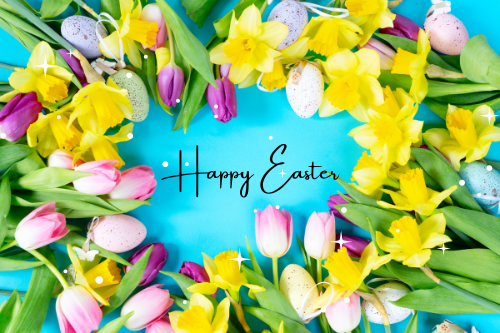 Susan Harvey tweet media