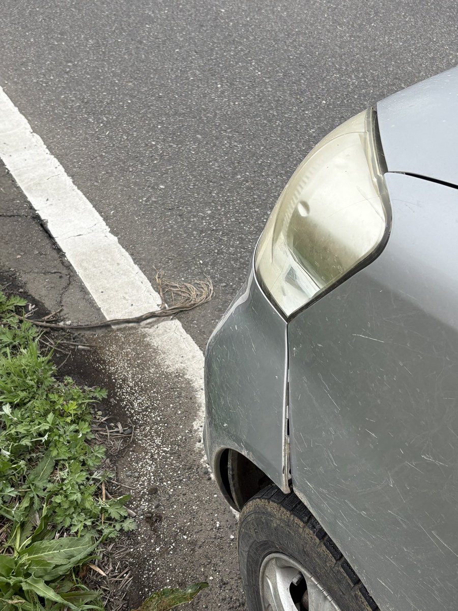 釣り好きtoshi tweet media