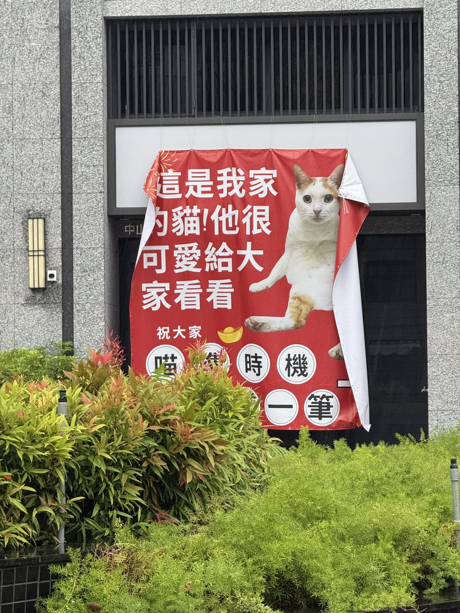 Rie@台湾ブロガー tweet media