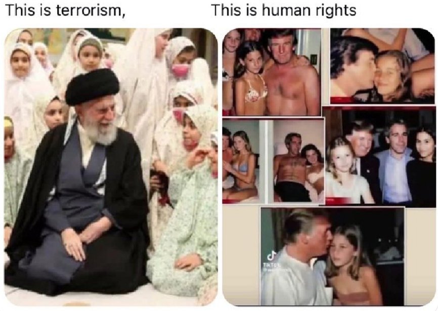 Targui🌴 tweet media