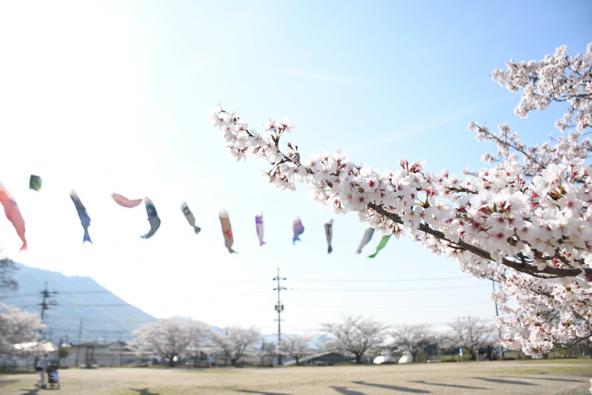 岡山県玉野市【公式】 tweet media