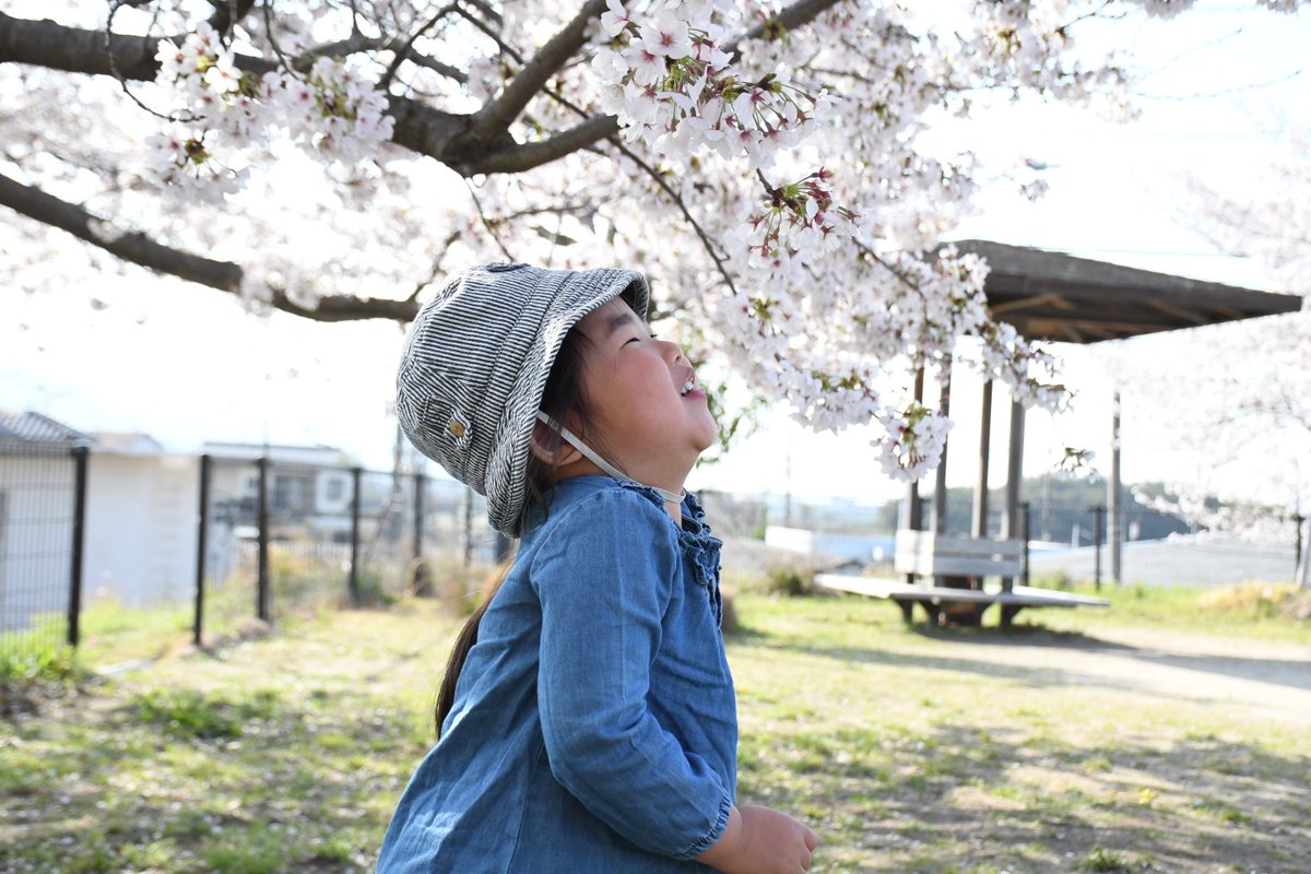 岡山県玉野市【公式】 tweet media