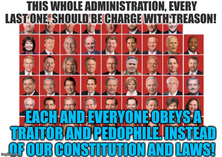 🇺🇸💙🌈D. Keith Padgett🇺🇸💙🌈 tweet media