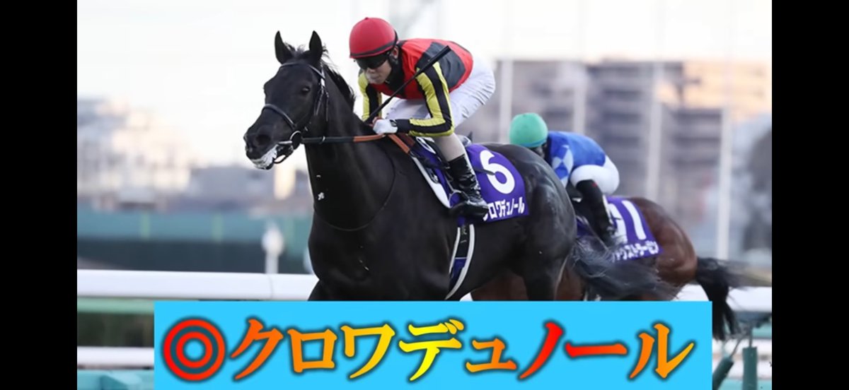 オジュウチャンネル【総フォロワー15万人超】 tweet media