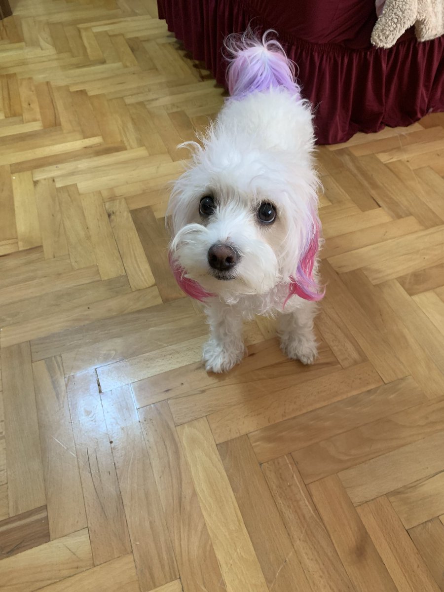 Sevcorella ama bi’ Sindirella değil tweet media